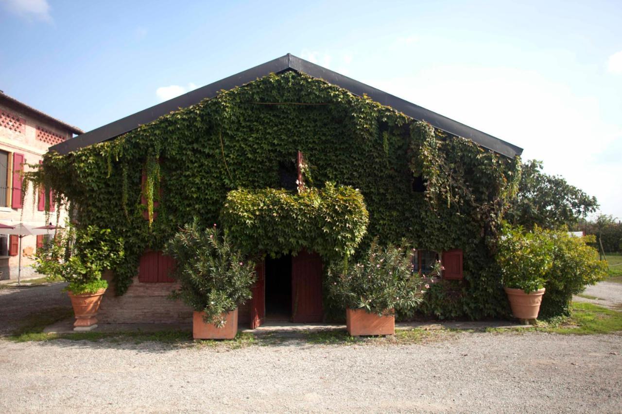 Agriturismo Il Bove Reggio Emilia Exteriér fotografie